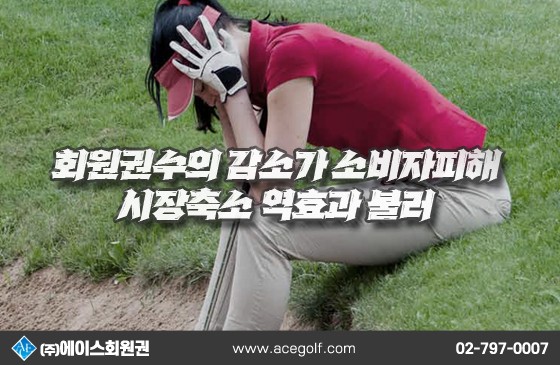 1740409661_f684049884b434b5cbf2.jpg